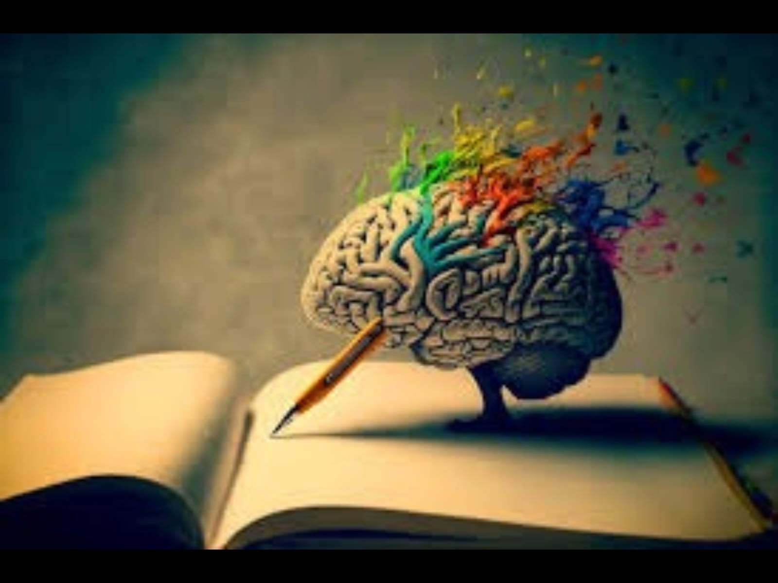 ANIMACIÓN A LA LECTURA