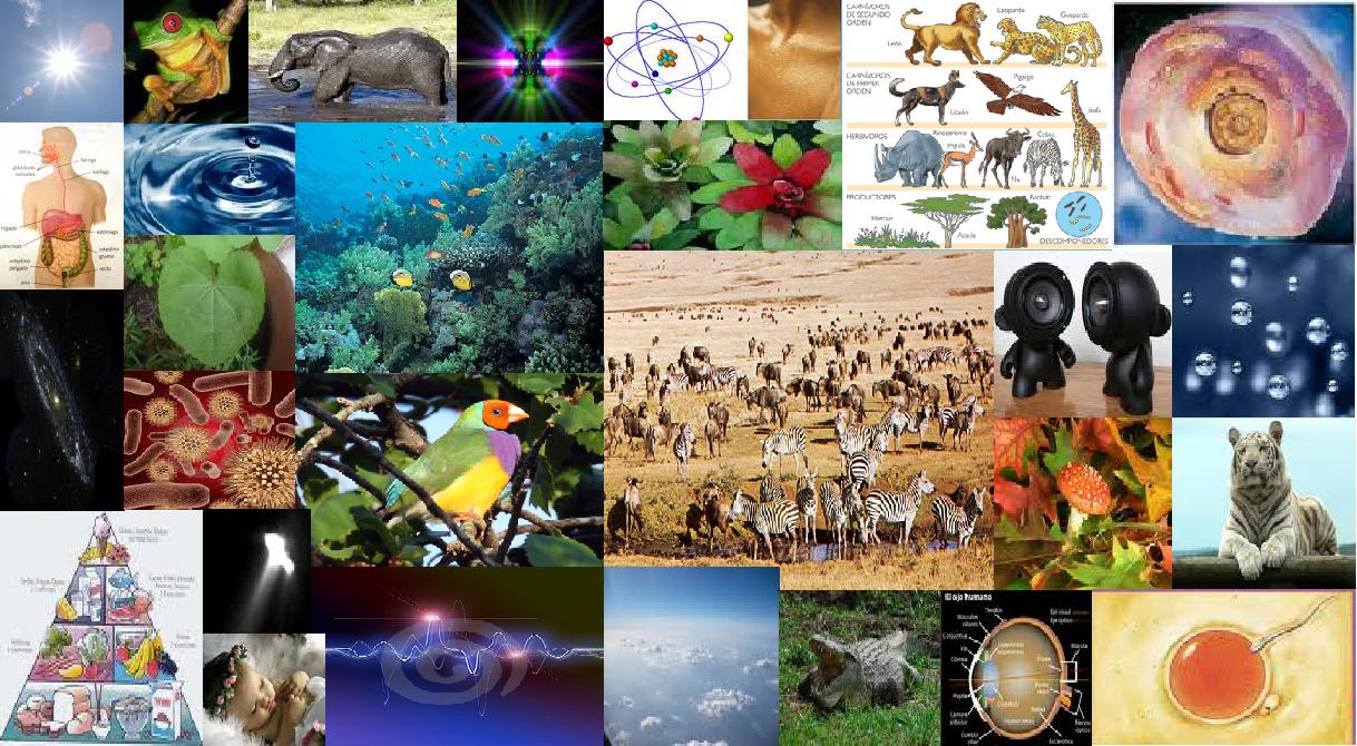 CIENCIAS NATURALES